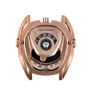 Reactor-Interchangeable Watch Head
