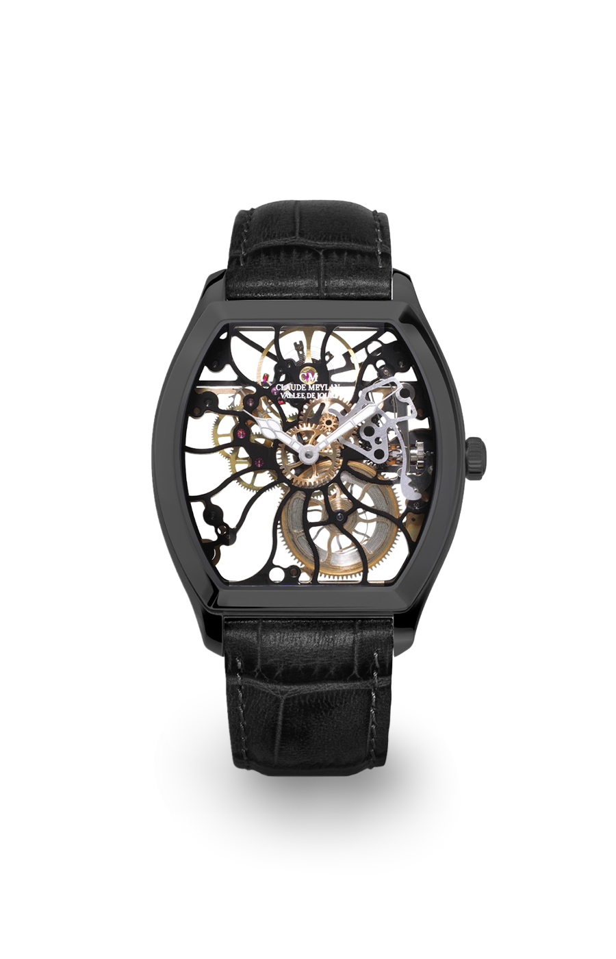 Rainbow Turtle 6047-no 40mm 