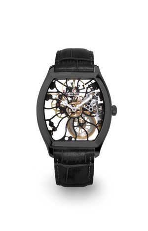 Rainbow Turtle 6047-no 40mm 