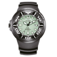 Citizen Promaster Watch – Professional Diver Eco-Drive 300m