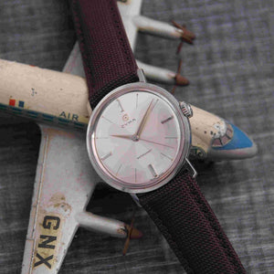 LARMOR PLAGE brown canvas watch strap