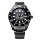 Citizen Promaster Mechanical Diver / Fujitsubo Watches